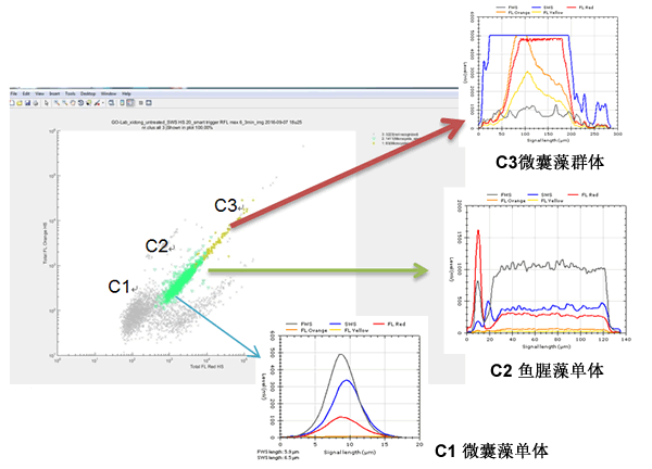 CytoSense藻類在線系統(tǒng)120h高頻次無故障運行實驗效果圖.gif